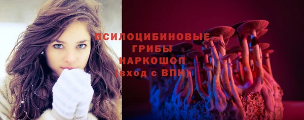 гашик Магадан