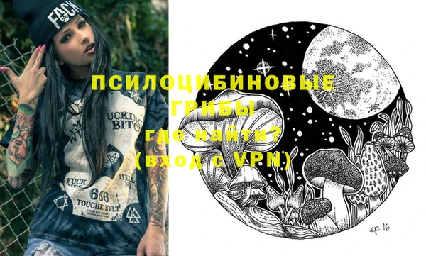 стаф Медвежьегорск