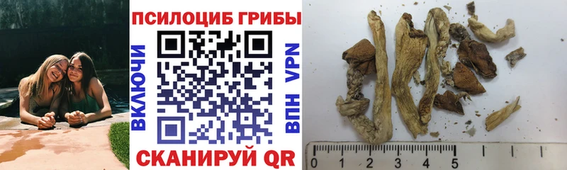 Галлюциногенные грибы MAGIC MUSHROOMS  Новомичуринск 